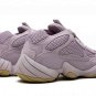 Yeezy 500 "Soft Vision"