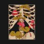 3 ranas T-Shirt