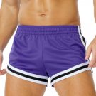 Men's Mesh Running Shorts Quick Dry Athletic Purple Shorts