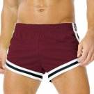 Men's Mesh Running Shorts Quick Dry Athletic Winered Shorts