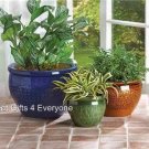 JEWEL TONE FLOWER POT TRIO