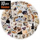 10/50/100pcs Funny Dog Stickers Cartoon Cute Decals