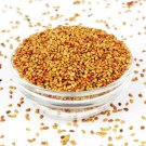 Alfalfa Seeds (Alfa Seeds) Whole Herbs|50g to 1.6kg