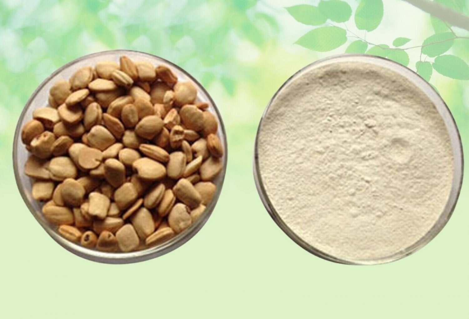 Tamarind Seed Powder Without Cover - Roasted Imli Beej