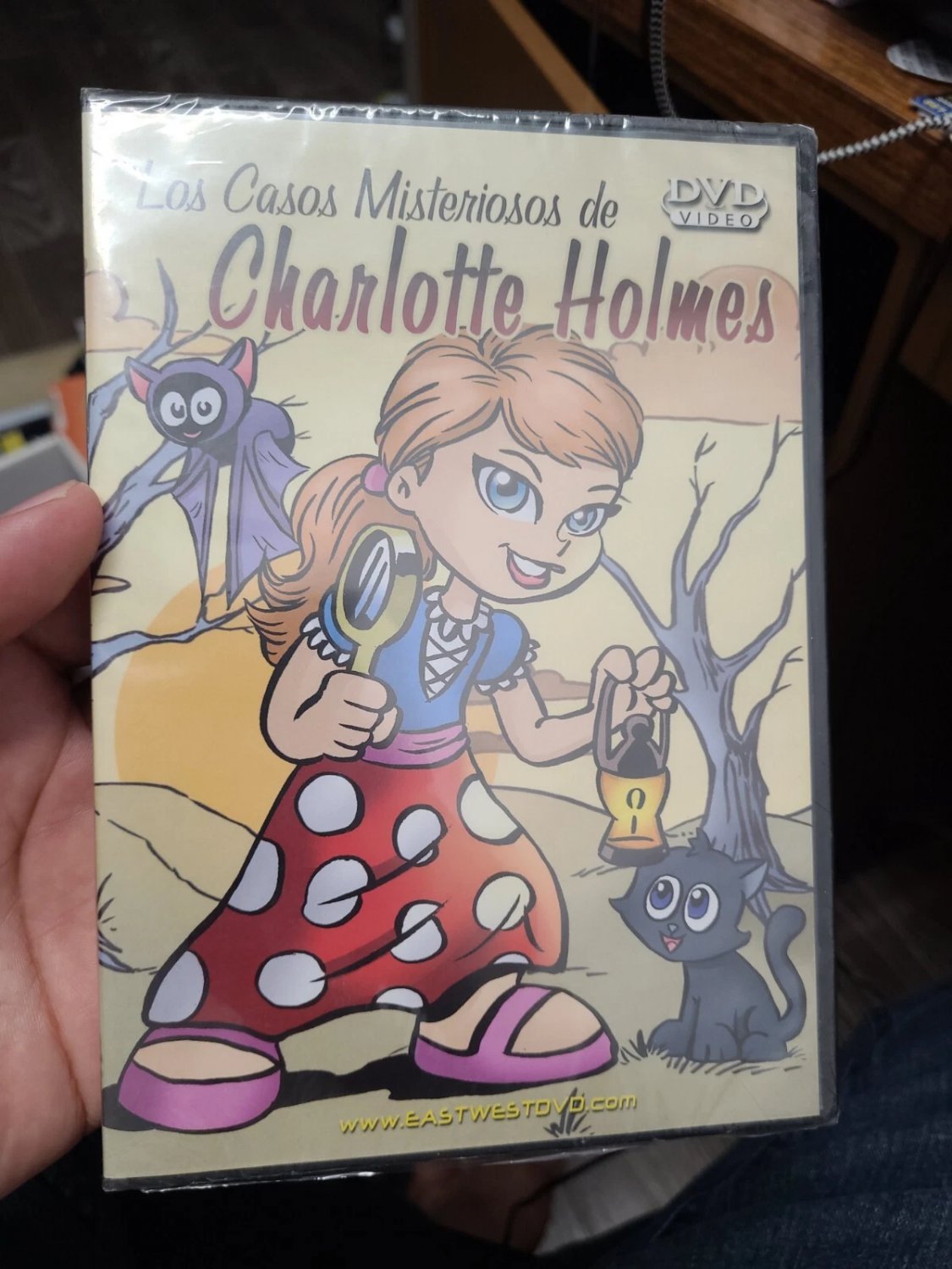 Lo casos misteriosos de Charlotte Holmes Dvd