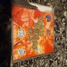 Cumbias Del Millenium Vol 3 Broken Cover