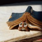 Owl with Book Statue Fairy Garden Sculpture Tabletop Figurine Home Desk Decor