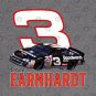 3 - Dale Earnhardt Hoodie