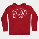 716Ski Buffalo - Polish Dyngus Day Hoodie