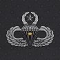 Army Master Parachutist 1 Star Hoodie