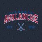 Avalanche Hockey Hoodie