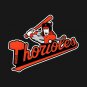 Baltimore Thorioles Hoodie