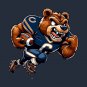 Bears Mascot Hoodie