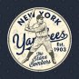 Bronx Bombers 2 By Buck Tee Hoodie