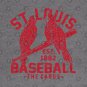 Cardinals Old Birds 2 By Buck Tee Hoodie
