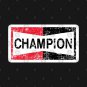 Champion Sparks Vintage Hoodie