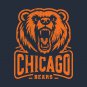 Chicago Bears Vintage Hoodie