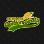 Defunct California Golden Seals Hockey Team Hoodie