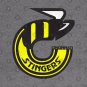 Defunct Cincinnati Stingers Hockey Team Hoodie