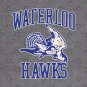Defunct Waterloo Hawks Basketball Team Hoodie
