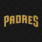Diego Padres Vintage Hoodie