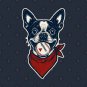 Fenway Terrier Hoodie