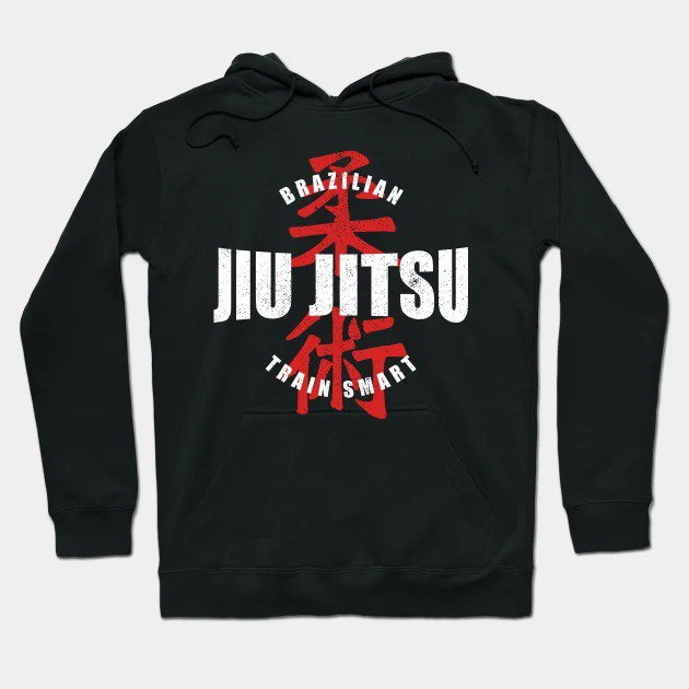 Jiu Jitsu a?? Train Smart Hoodie