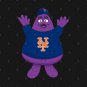 Lets Go Mets! Hoodie
