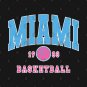 Miami Heat Hoodie