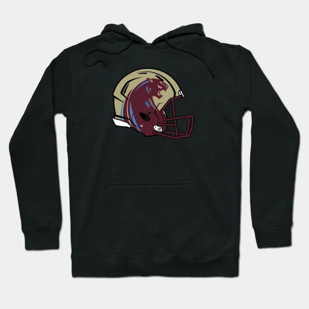 Michigan Panthers Hoodie