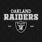 Oakland-Raiders V.2 Hoodie