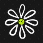 Pickleball Shirts, Flower Daisy Pickleball Center Hoodie