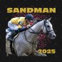 Racehorse Sandman 2025 Hoodie