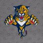 Retro Florida Panthers Hoodie