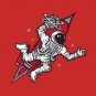 Rockets Hoodie