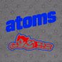 Sankei Atoms Defunct Japanese Baseball Club Hoodie