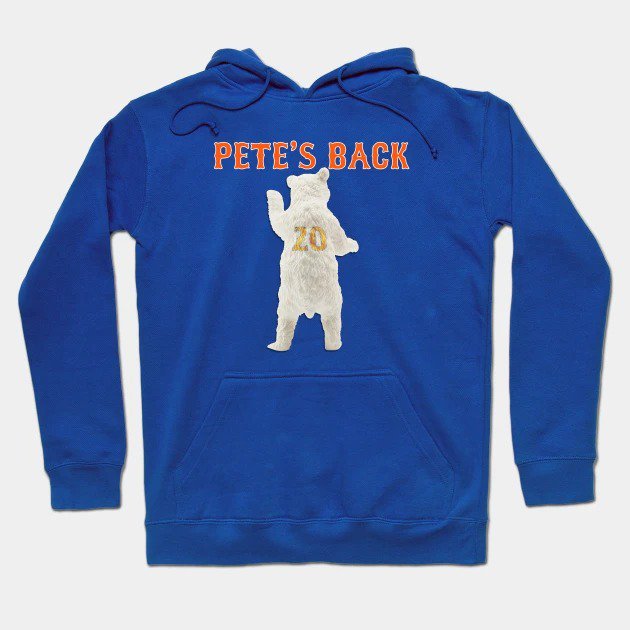 The Polar Bear Is Back! Hoodie
