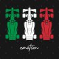 Tifosi 'Emotion' Italian Flag F1 Design Hoodie