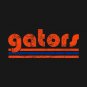 Vintage Gators Retro Three Stripes Weathered Hoodie