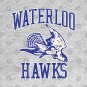 Defunct Waterloo Hawks Basketball Team T-Shirt