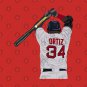 David Ortiz T-Shirt
