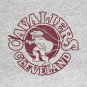 Fan Art Retro Distressed Vintage Cleveland Cavaliers Logo T-Shirt