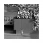 Willie Mays The Catch Legend Never Die T-Shirt