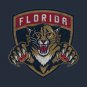 Florida Panthers  Vintage T-Shirt