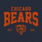 Retro Chicago-Bears 2 T-Shirt