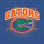 Gators T-Shirt