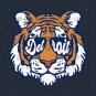 Detroit Tigers Cool T-Shirt