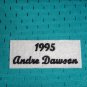 Andre Dawson 1995 Florida Marlins Mitchell & Ness Men's Button Front BP Jersey