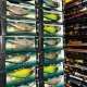 japanese sea fairy fishing lure