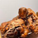 Unique Vintage Stan Langtwait Raccoon Clay Figure On Manzanita Burl Wood Organic